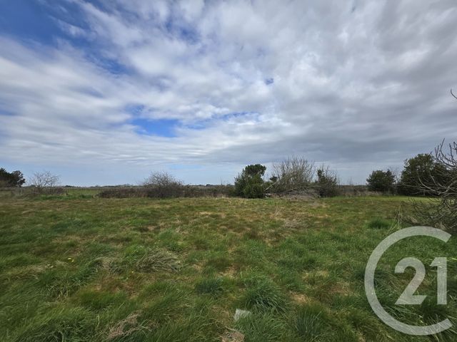 Maison à vendre - 6 pièces - 120,43 m2 - Jau Dignac Et Loirac - 33 - AQUITAINE