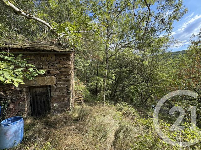 Maison &agrave; vendre - 3 pi&egrave;ces - 47 m2 - Viala Du Tarn - 12 - MIDI-PYRENEES
