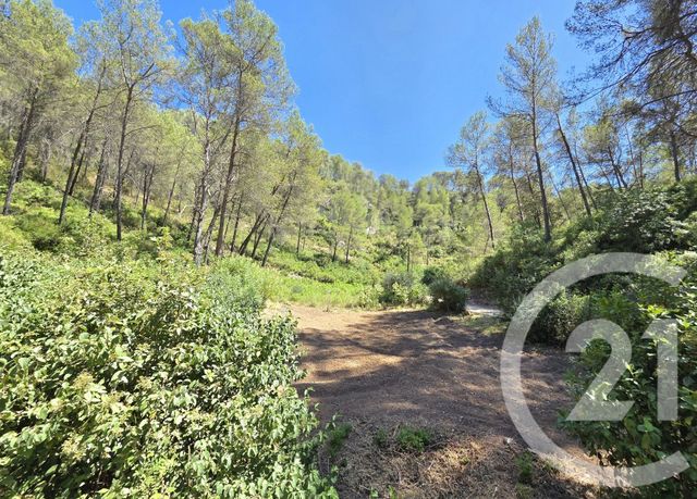 Terrain &agrave; vendre - 1939 m2 - Allauch - 13 - PROVENCE-ALPES-COTE-D-AZUR