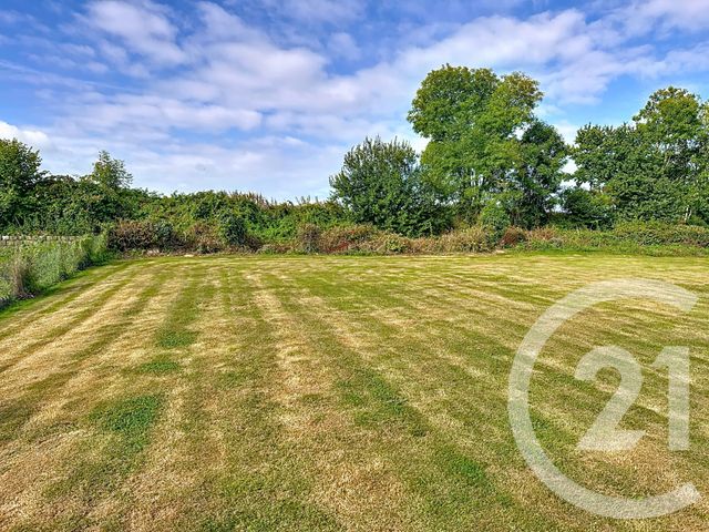 terrain - TOURVILLE LES IFS - 76