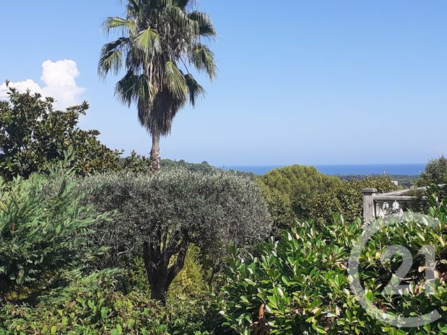 Maison à vendre - 6 pièces - 271 m2 - Biot - 06 - PROVENCE-ALPES-COTE-D-AZUR