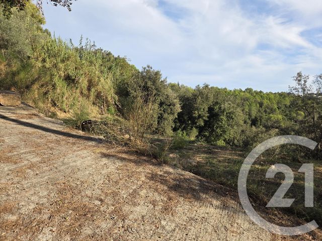 Terrain &agrave; vendre - 2999 m2 - Biot - 06 - PROVENCE-ALPES-COTE-D-AZUR