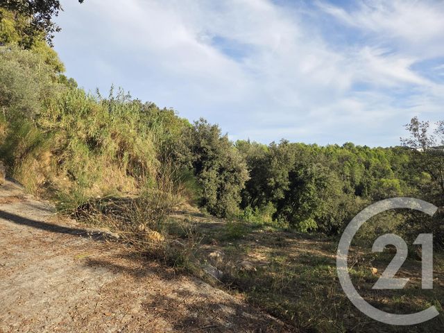 Terrain &agrave; vendre - 2999 m2 - Biot - 06 - PROVENCE-ALPES-COTE-D-AZUR