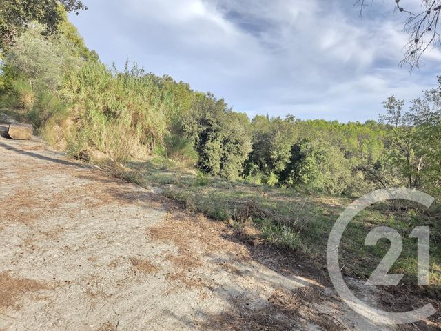 Terrain &agrave; vendre - 2999 m2 - Biot - 06 - PROVENCE-ALPES-COTE-D-AZUR