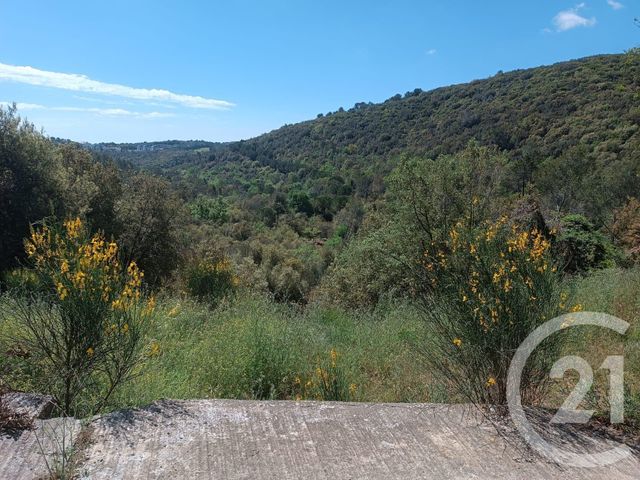 Terrain &agrave; vendre - 2999 m2 - Biot - 06 - PROVENCE-ALPES-COTE-D-AZUR