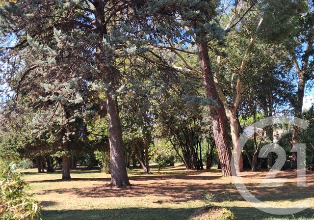 Maison &agrave; vendre - 5 pi&egrave;ces - 155 m2 - Biot - 06 - PROVENCE-ALPES-COTE-D-AZUR
