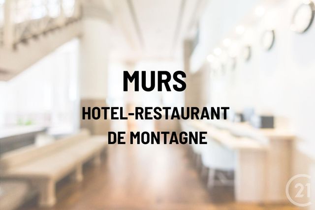 Local commercial à vendre - 1123.0 m2 - 74 - Haute-Savoie