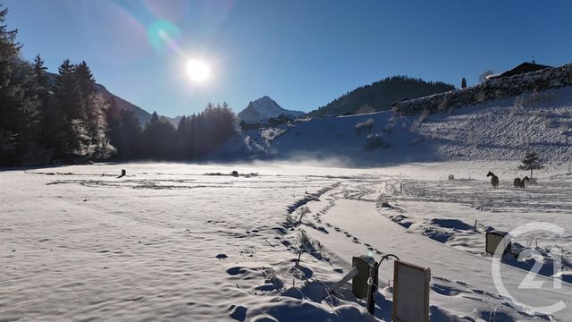 Appartement Triplex à vendre - 4 pièces - 87,05 m2 - Montriond - 74 - RHONE-ALPES