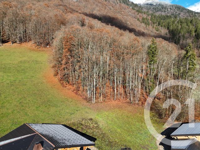 Terrain &agrave; vendre - 1056 m2 - Montriond - 74 - RHONE-ALPES