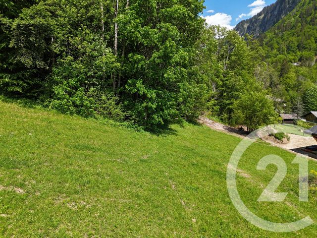 Terrain &agrave; vendre - 1056 m2 - Montriond - 74 - RHONE-ALPES