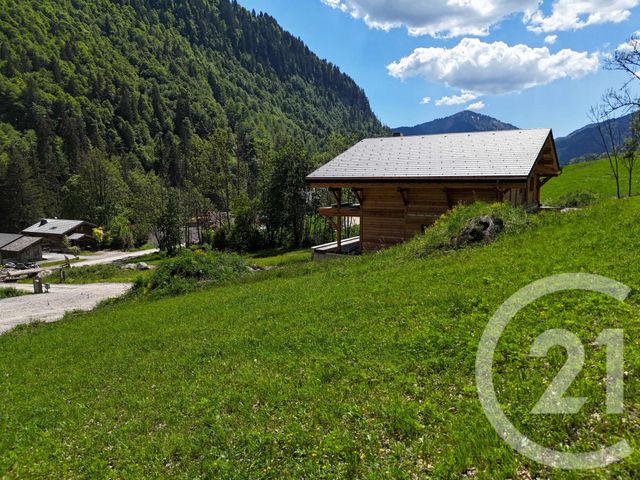 Terrain &agrave; vendre - 1056 m2 - Montriond - 74 - RHONE-ALPES