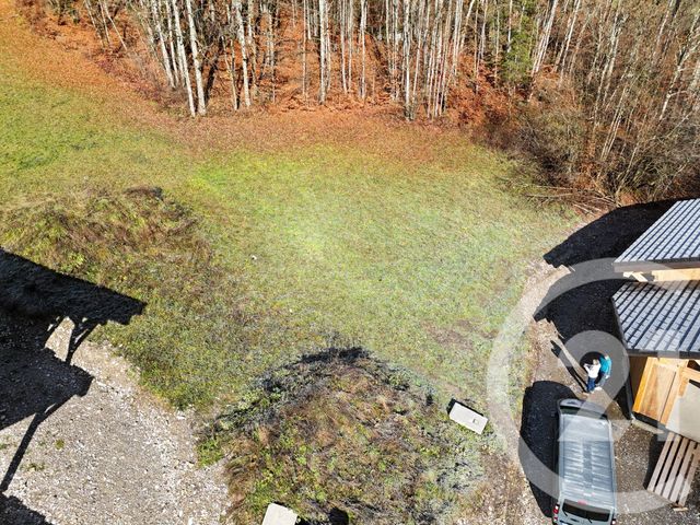 Terrain &agrave; vendre - 1056 m2 - Montriond - 74 - RHONE-ALPES