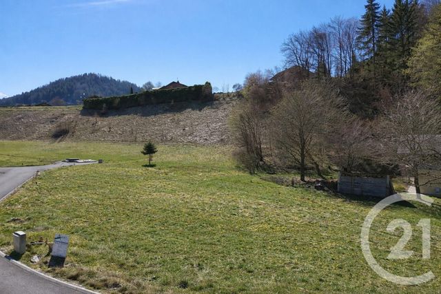 Terrain &agrave; vendre - 701 m2 - Montriond - 74 - RHONE-ALPES