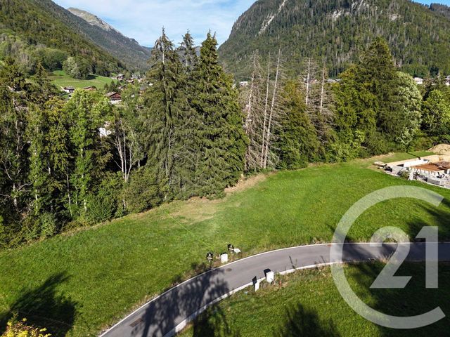 Terrain &agrave; vendre - 745 m2 - Montriond - 74 - RHONE-ALPES