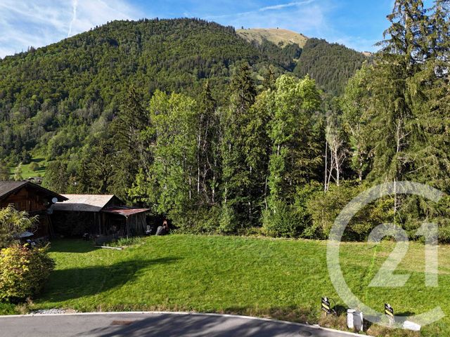 Terrain &agrave; vendre - 745 m2 - Montriond - 74 - RHONE-ALPES