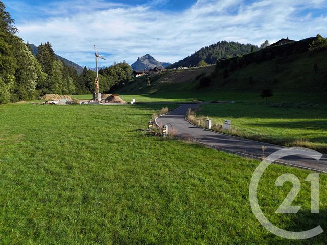 Terrain &agrave; vendre - 745 m2 - Montriond - 74 - RHONE-ALPES