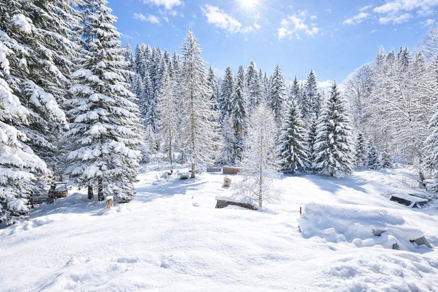 Appartement Duplex &agrave; vendre - 5 pi&egrave;ces - 123,84 m2 - Morzine - 74 - RHONE-ALPES