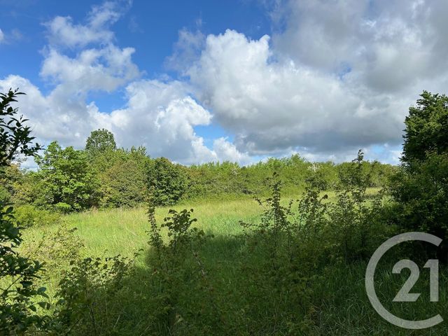 Terrain à vendre - 1500 m2 - La Sauvetat Sur Lede - 47 - AQUITAINE