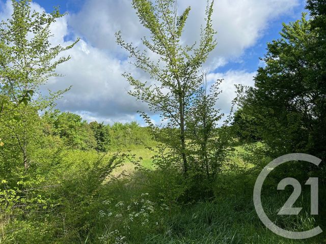 Terrain à vendre - 1500 m2 - La Sauvetat Sur Lede - 47 - AQUITAINE