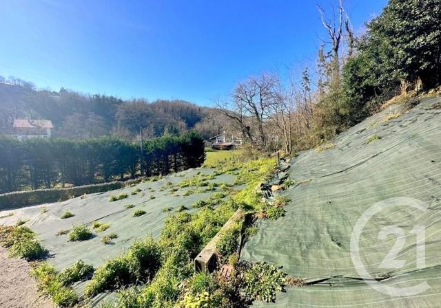 terrain - BIRIATOU - 64