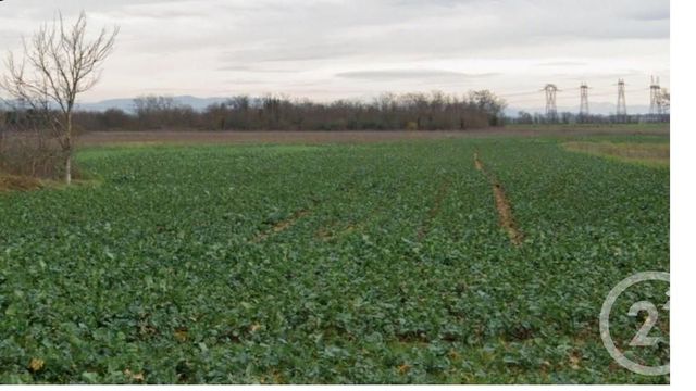 Terrain &agrave; vendre - 571 m2 - Genas - 69 - RHONE-ALPES