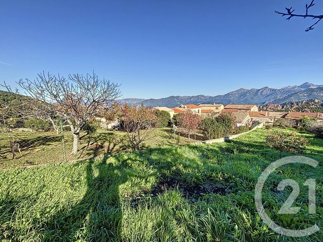 Terrain &agrave; vendre - 556 m2 - Piana - 201 - CORSE