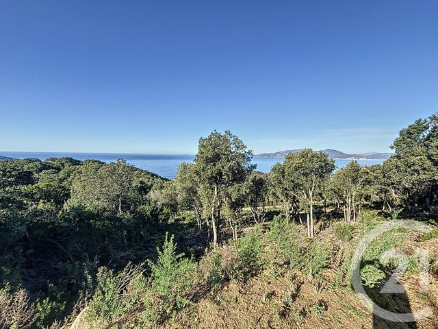 Terrain &agrave; vendre - 1700 m2 - Coti Chiavari - 201 - CORSE