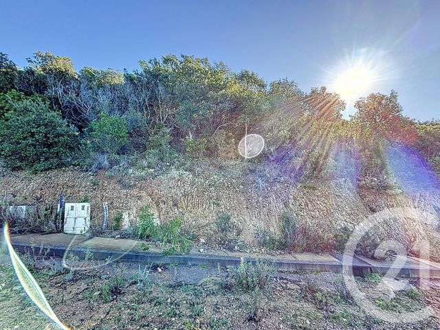 Terrain &agrave; vendre - 1700 m2 - Coti Chiavari - 201 - CORSE