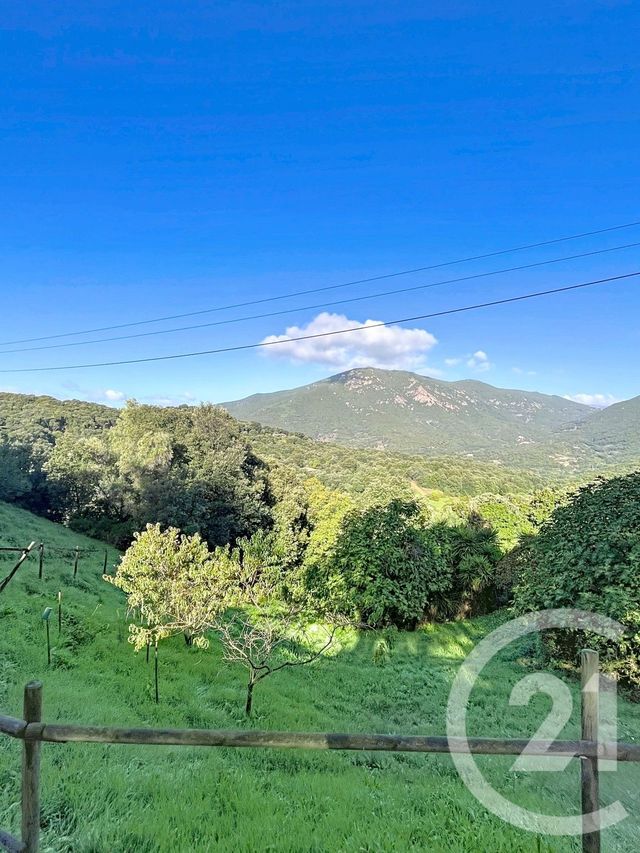 terrain - ECCICA SUARELLA - 201