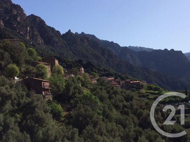 Appartement F4 &agrave; vendre - 4 pi&egrave;ces - 64 m2 - Ota - 201 - CORSE