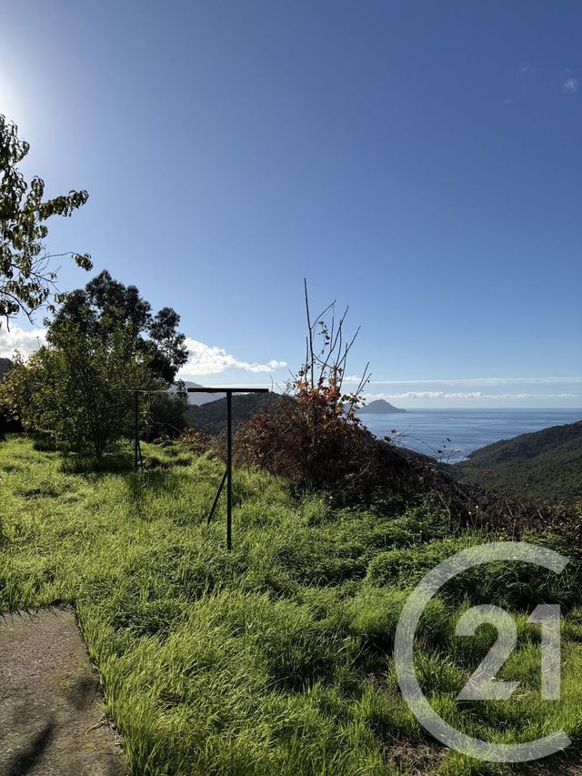 Maison &agrave; vendre - 6 pi&egrave;ces - 130 m2 - Partinello - 201 - CORSE
