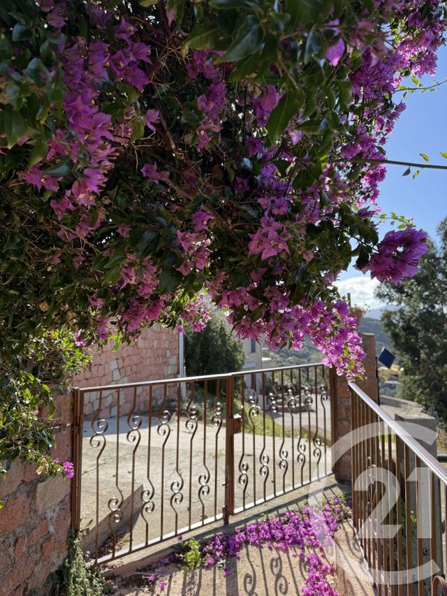 Maison &agrave; vendre - 6 pi&egrave;ces - 130 m2 - Partinello - 201 - CORSE