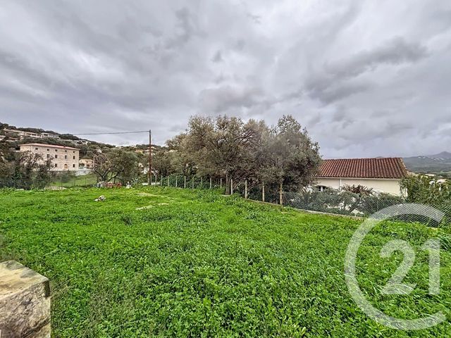 maison - BASTELICACCIA - 201