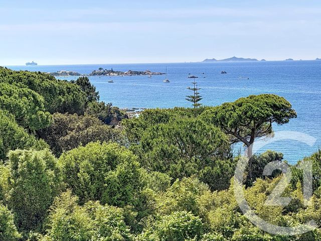 appartement - PIETROSELLA - 201