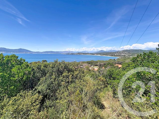 Terrain &agrave; vendre - 3000 m2 - Pietrosella - 201 - CORSE