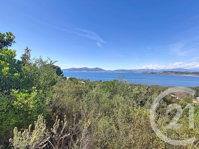 Terrain &agrave; vendre - 3000 m2 - Pietrosella - 201 - CORSE