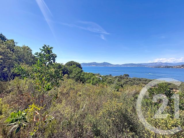 Terrain &agrave; vendre - 3000 m2 - Pietrosella - 201 - CORSE