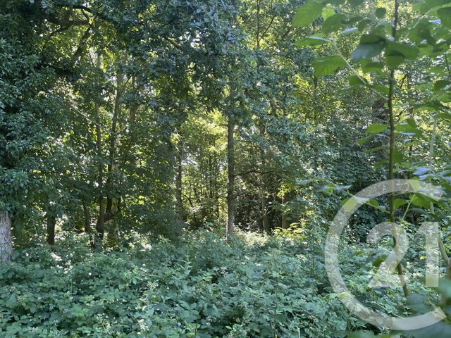 Terrain à vendre BRIONNE