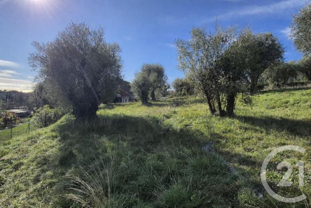 terrain - VENCE - 06