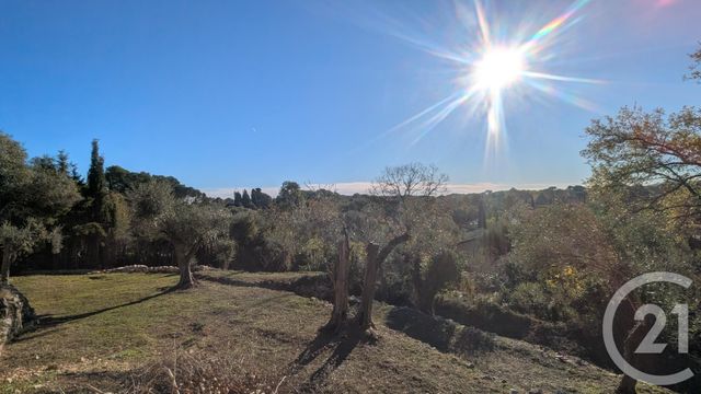 Terrain &agrave; vendre - 1788 m2 - Roquefort Les Pins - 06 - PROVENCE-ALPES-COTE-D-AZUR
