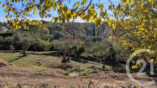 Terrain &agrave; vendre - 1788 m2 - Roquefort Les Pins - 06 - PROVENCE-ALPES-COTE-D-AZUR