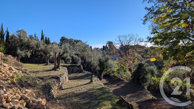 terrain - ROQUEFORT LES PINS - 06