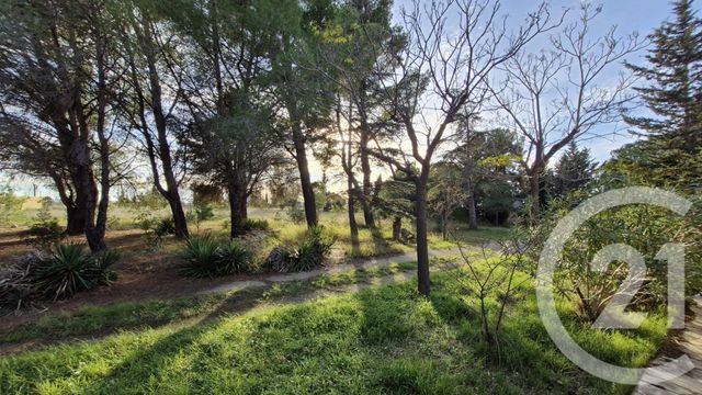 Maison à vendre - 4 pièces - 247 m2 - 11 - LANGUEDOC-ROUSSILLON