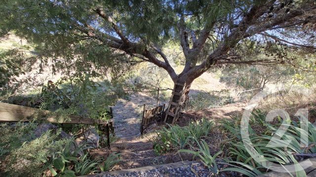 Maison &agrave; vendre - 6 pi&egrave;ces - 236,65 m2 - Narbonne - 11 - LANGUEDOC-ROUSSILLON