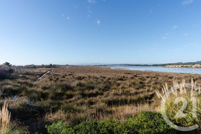 maison - GRUISSAN - 11