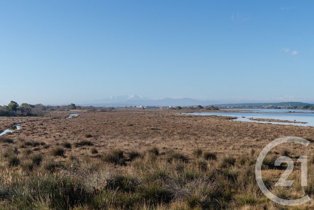 Maison &agrave; vendre - 3 pi&egrave;ces - 39,33 m2 - Gruissan - 11 - LANGUEDOC-ROUSSILLON