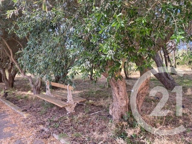 Maison &agrave; vendre - 5 pi&egrave;ces - 137,24 m2 - Narbonne - 11 - LANGUEDOC-ROUSSILLON