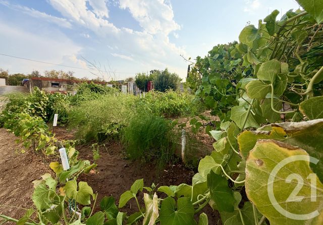 Terrain &agrave; vendre - 1314 m2 - Narbonne - 11 - LANGUEDOC-ROUSSILLON