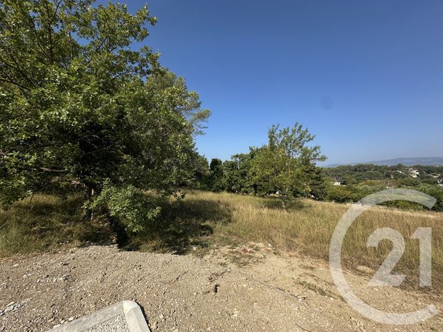 Terrain &agrave; vendre - 2200 m2 - Mougins - 06 - PROVENCE-ALPES-COTE-D-AZUR