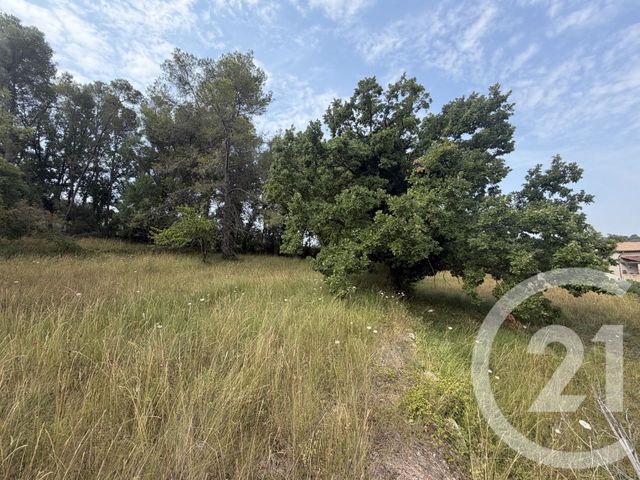 Terrain &agrave; vendre - 2200 m2 - Mougins - 06 - PROVENCE-ALPES-COTE-D-AZUR